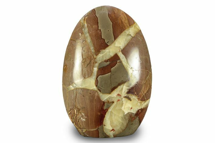 Free-Standing, Polished Red Septarian - Madagascar #247546